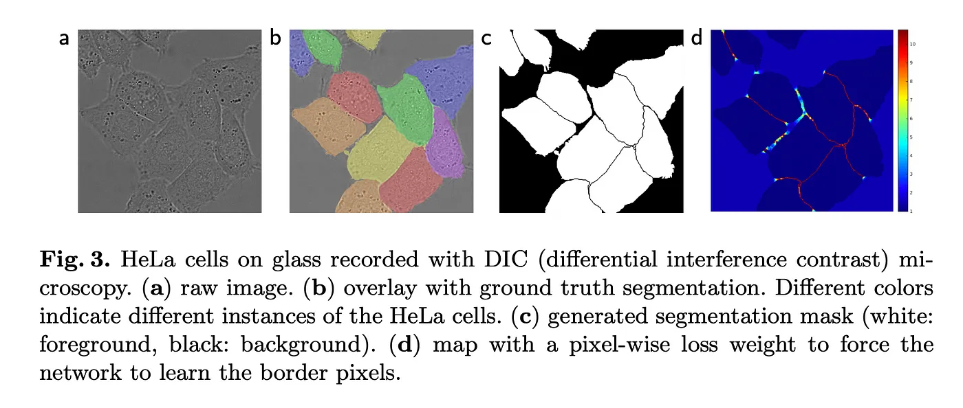 4_fig3